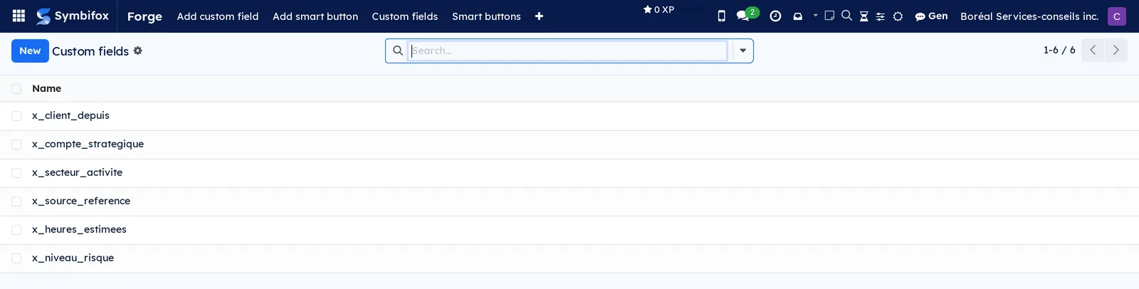 List of the demo's six custom fields, with their technical names